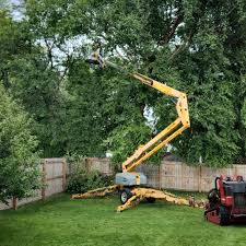 Lawn Pest Prevention in Farm Loop, AK